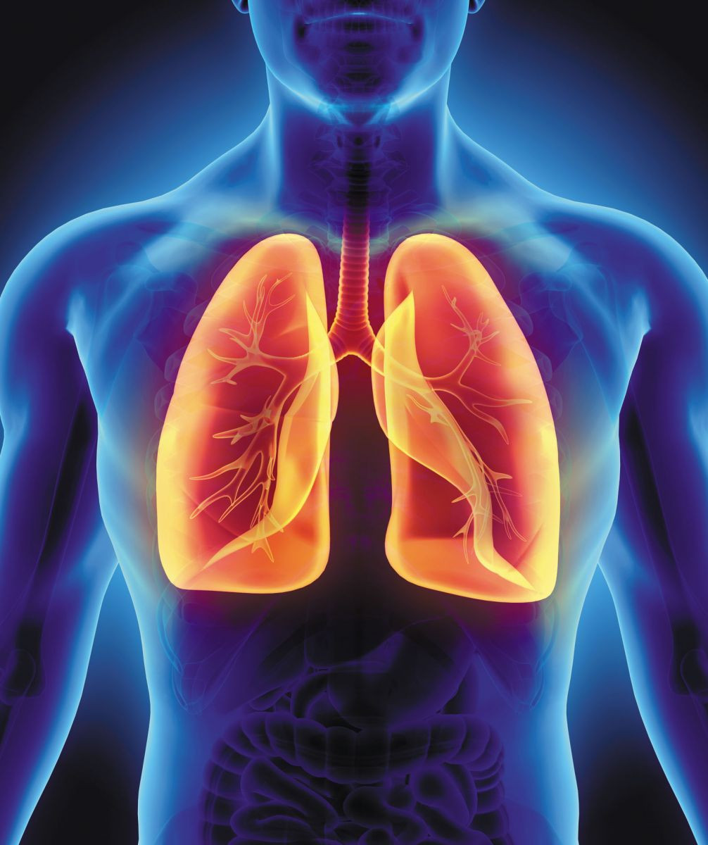 The Benefits Regular Exercise Can Have on Your Lung Health