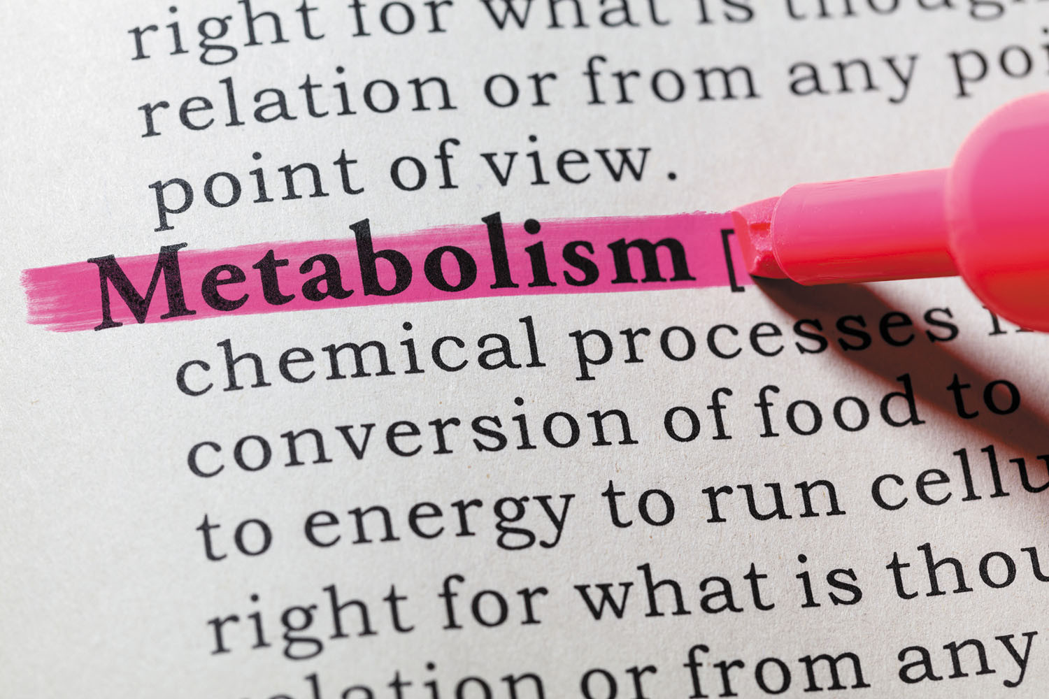 Metabolism and weight loss