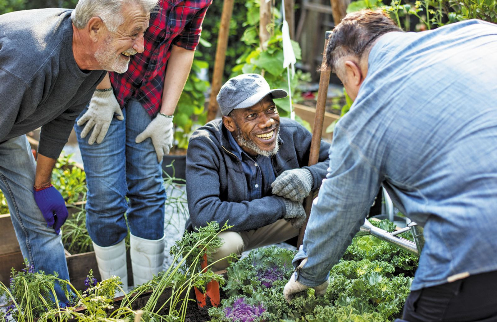 Retired men at work - Harvard Health