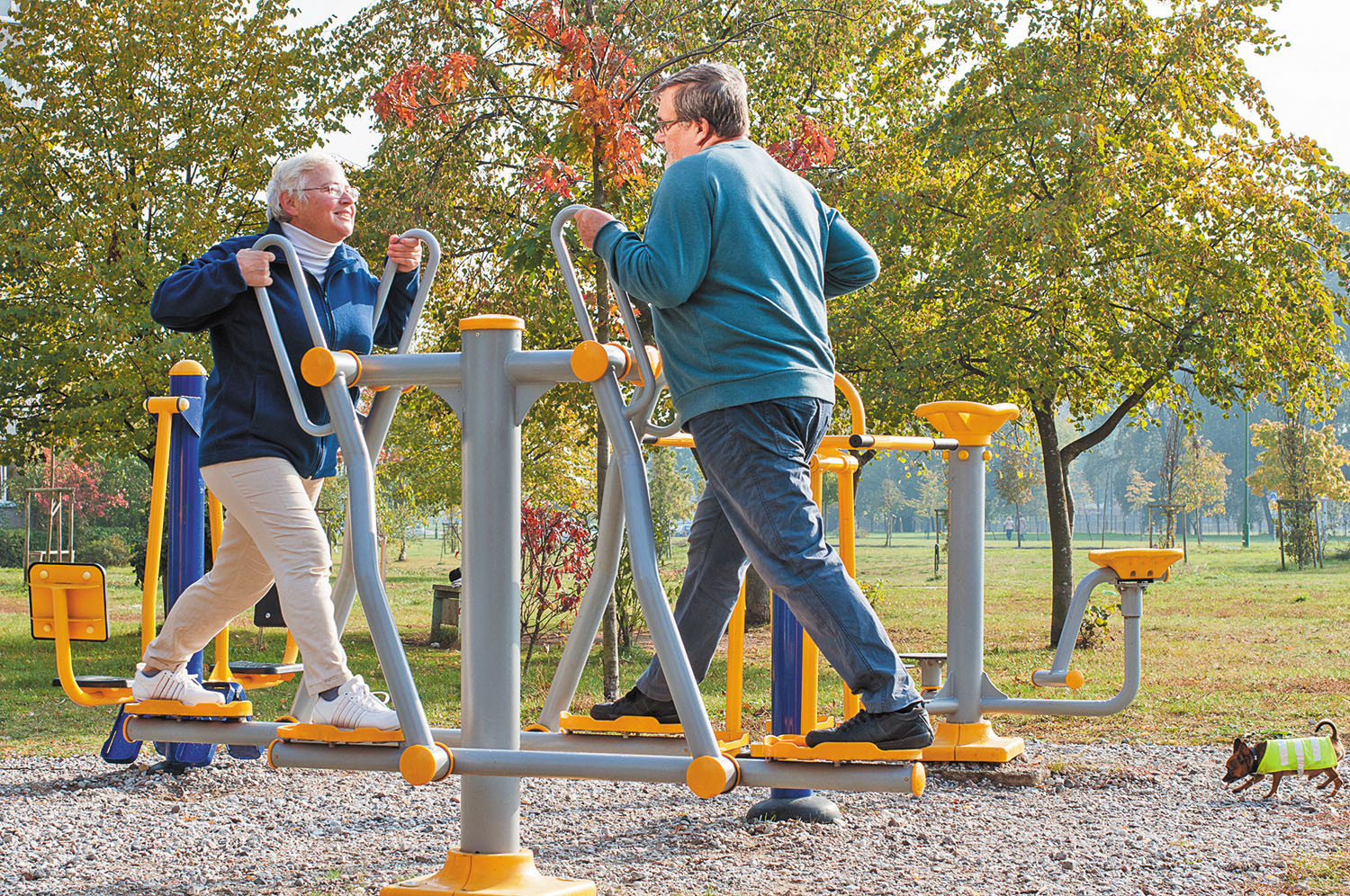 The benefits and risks of multigenerational fitness parks