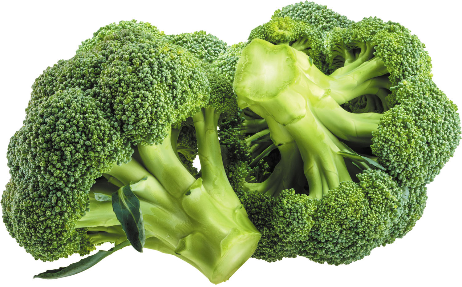 Image of Broccoli vegetable