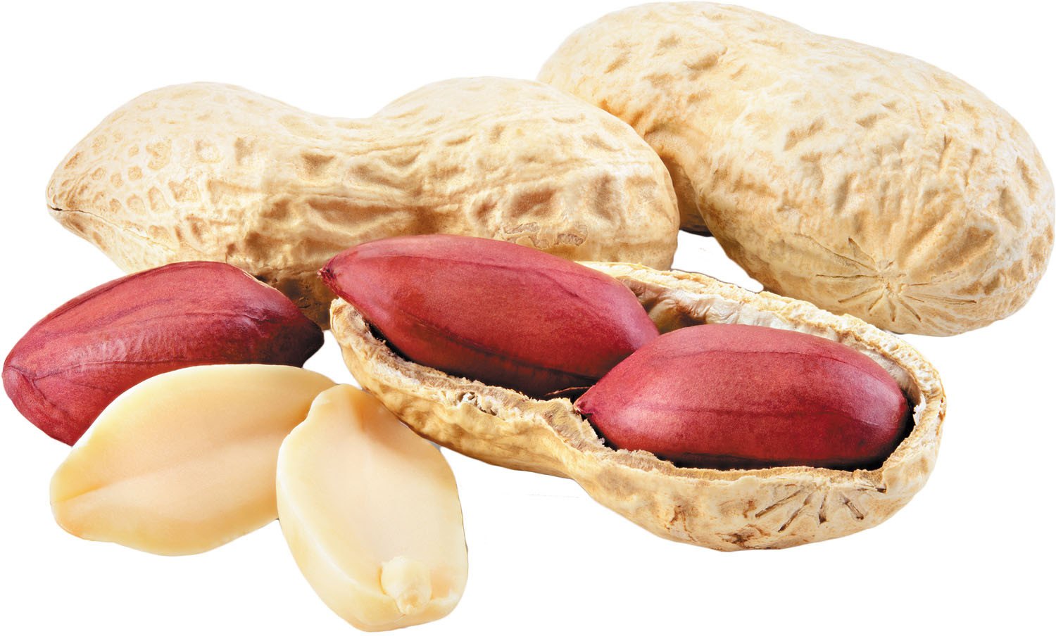 Legume of the month: Peanuts