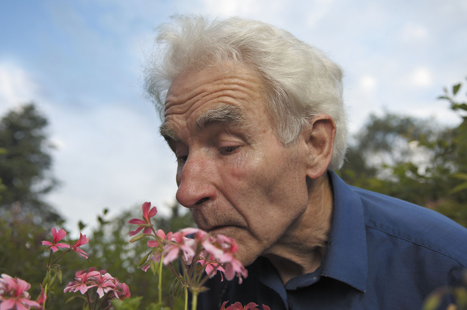 Poor sense of smell may predict risk of death in older adults