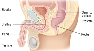 prostatitis worse in morning)