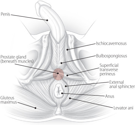 Finding help for pelvic pain A patients story photo