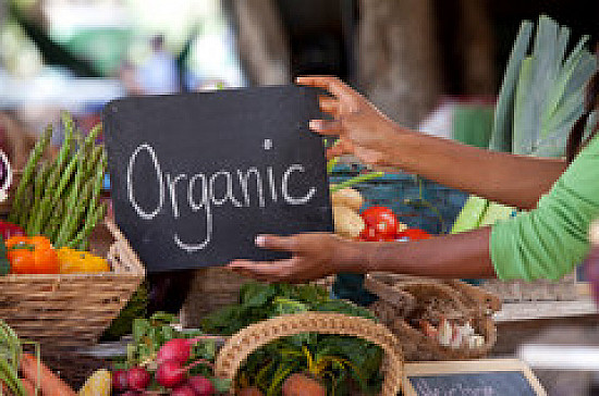 Buying Organic: what really is organic?