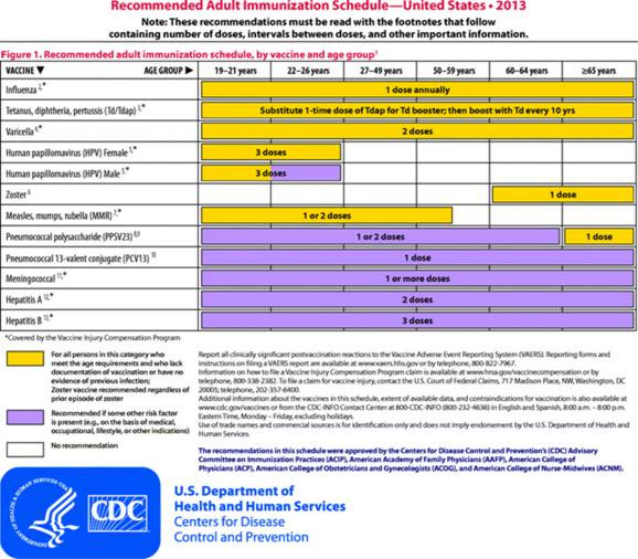 Adult Immunization Schedule Updated As Vaccination Rates Lag Harvard   ACIP 