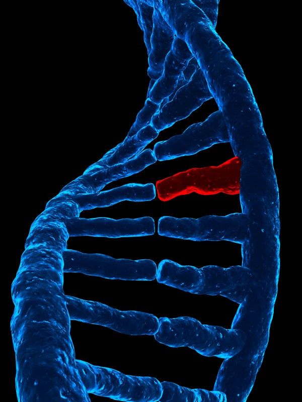 DNA-double-helix