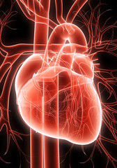 Chelation therapy offers small, if any, benefit for heart disease