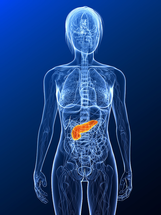 bigstock_highlighted_pancreas_7770776