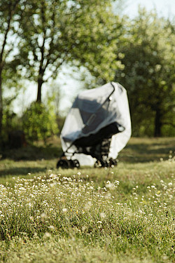 4 ways to protect your family from mosquitoes featured image