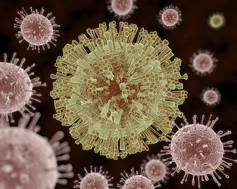 Zika: Worse than we thought? featured image