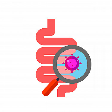 Gut reaction: How bacteria in your belly may affect your heart featured image