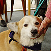 blog image 1
