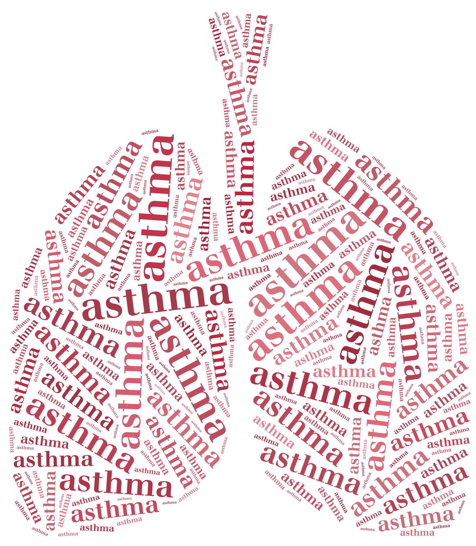 Antibiotics don’t speed recovery from asthma attacks