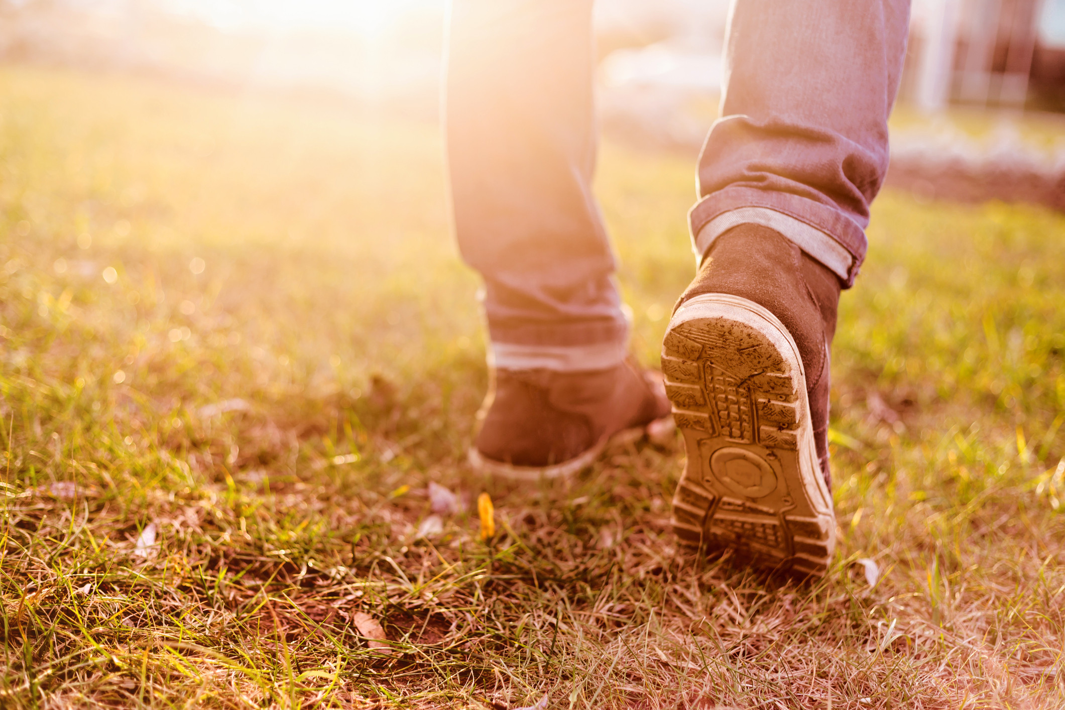 Ticks and the changing landscape of tick-borne illnesses